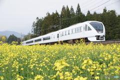 東武鉄道特急スペーシアX！