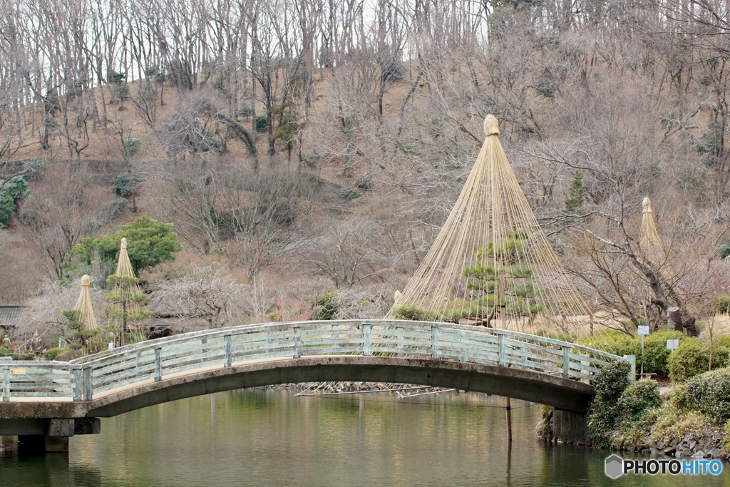 東京都町田市薬師池公園の太鼓橋と雪つりの風景！