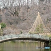 東京都町田市薬師池公園の太鼓橋と雪つりの風景！