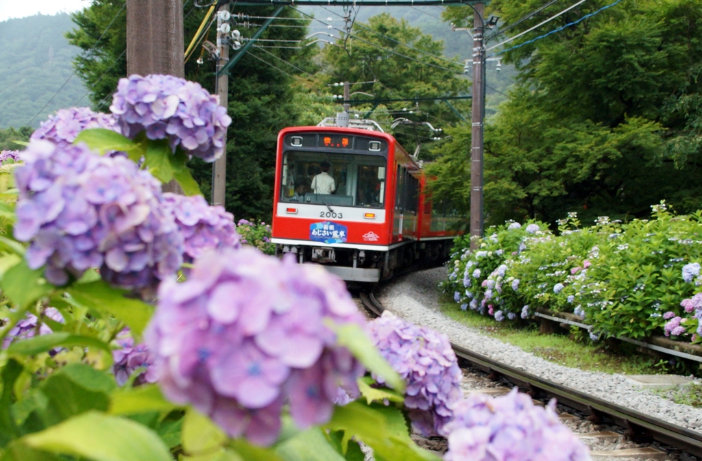 「祝」全線開通！箱根登山鉄道！①