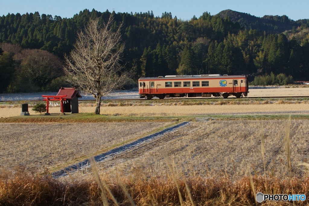 祝　いすみ鉄道全線開通！①～⑦の中の②