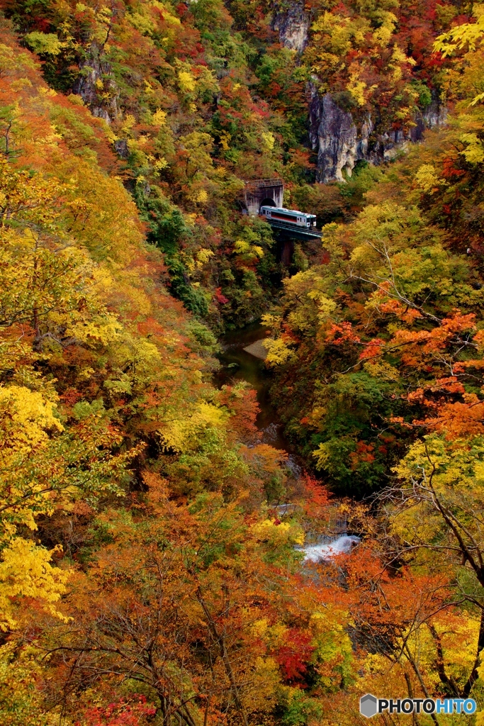 陸羽東線　鳴子峡の紅葉！