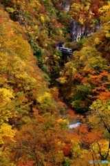 陸羽東線　鳴子峡の紅葉！