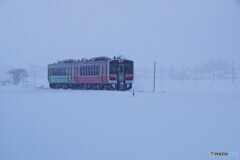 雪原の中のキハE120！