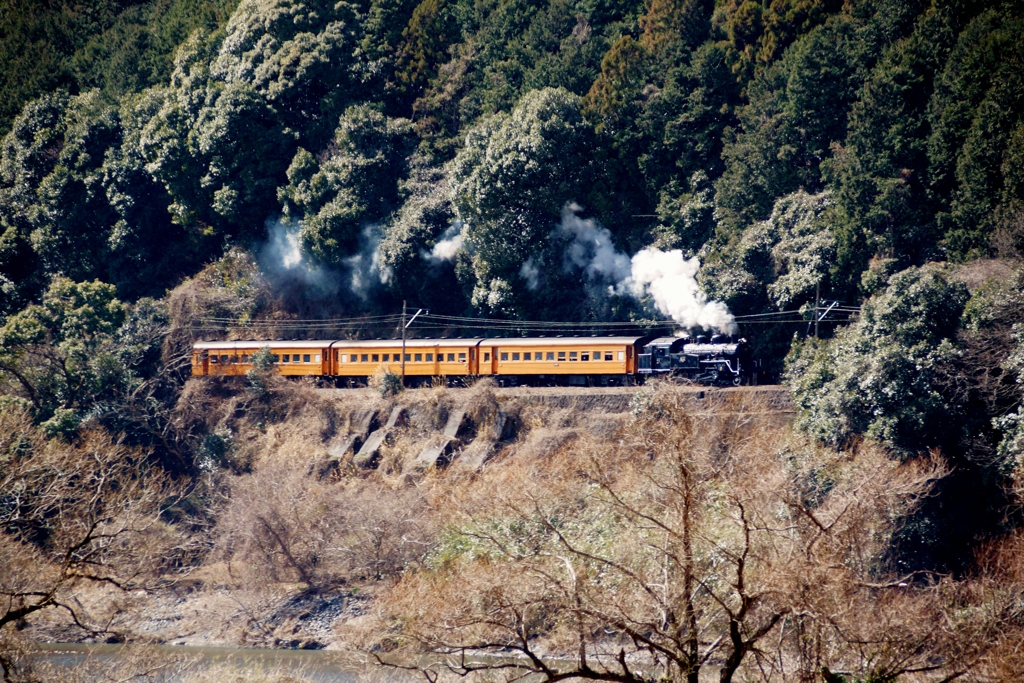 大井川鉄道　掲載追加！②（完）