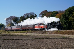 続編　真岡鉄道　SL・DLの重連！①