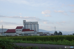 新潟県の米処を進む只見線！