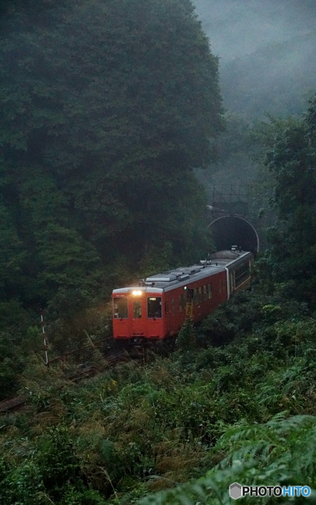トンネルから現るキハ110・120！