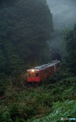 トンネルから現るキハ110・120！