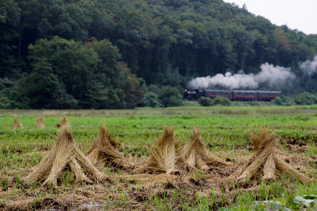 真岡でも見れる藁ボッチ風景