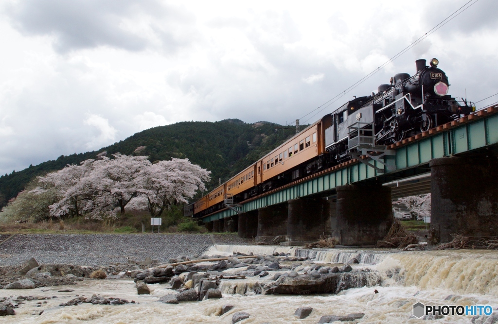 大井川鉄道　花見の時季！④（完）