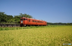 「急行サロベツ」号上総川間駅通過！