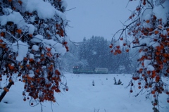 初雪？で繰り出し‼