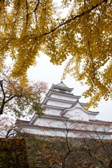 会津の鶴ヶ城と銀杏！