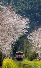 いすみ鉄道の早期復旧を願う①～⑦の②