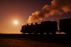 C11シルエット！