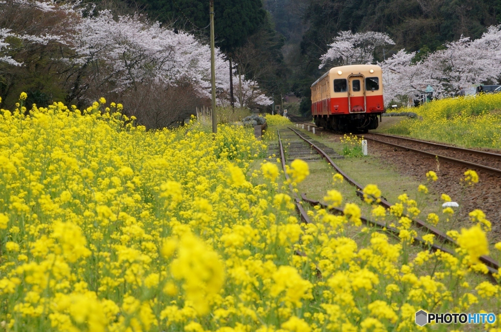 小湊鉄道　月崎駅！