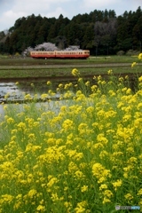 小湊鉄道　上総川間！④（完）