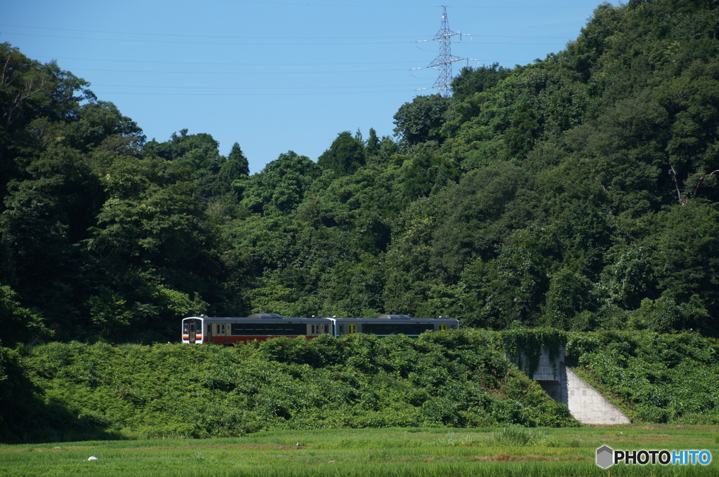 深緑区間を走るキハ！