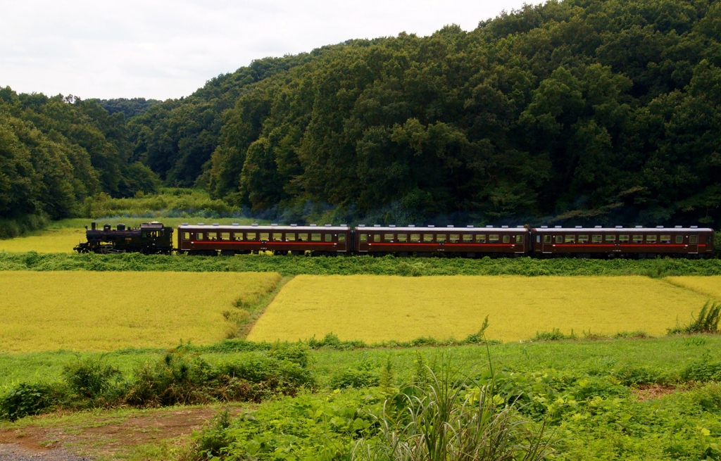 真岡の田園風景！