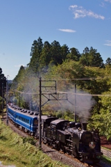 「大樹」力走！