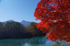 毘沙門沼の紅葉