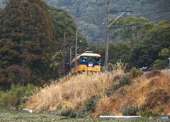大井川鉄道　元近鉄特急16000系！