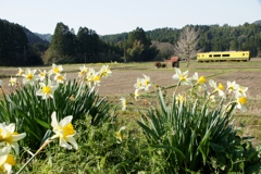 祠がある長閑な風景！