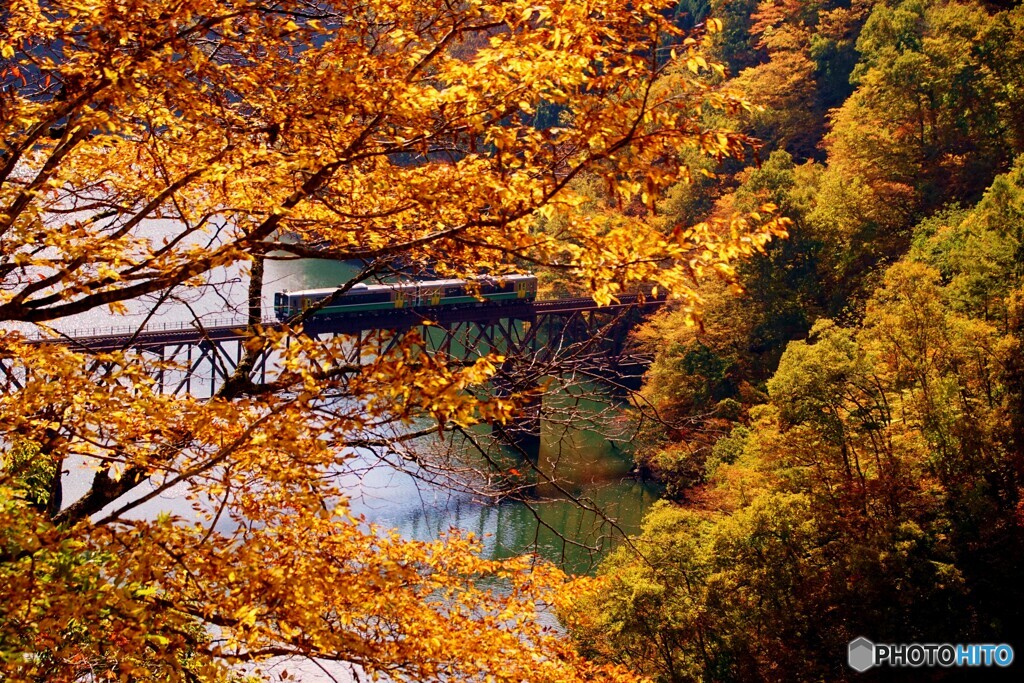 只見線　第３橋梁紅葉額縁！