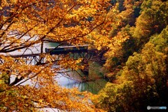 只見線　第３橋梁紅葉額縁！