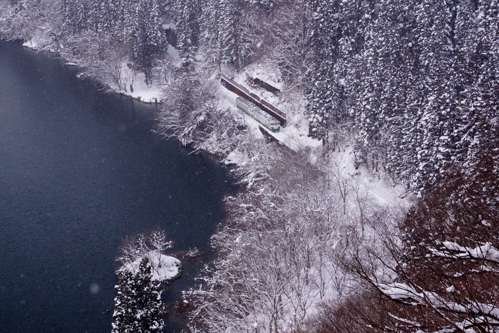 雪化粧に感動！