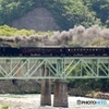 上越線　利根川橋梁！
