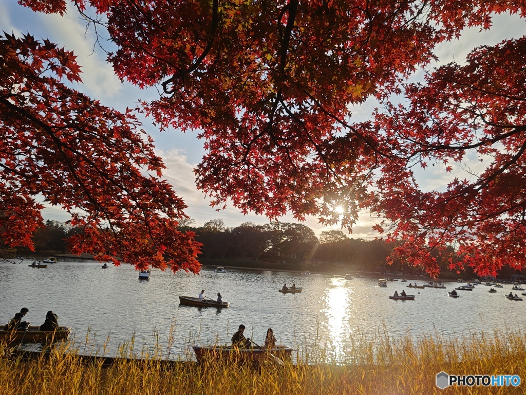 昭和記念公園の情景！