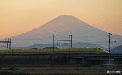 夕暮れの富士山とドクターイエロー！