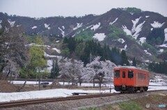 残雪の山　新緑を往くキハ！