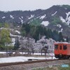 残雪の山　新緑を往くキハ！