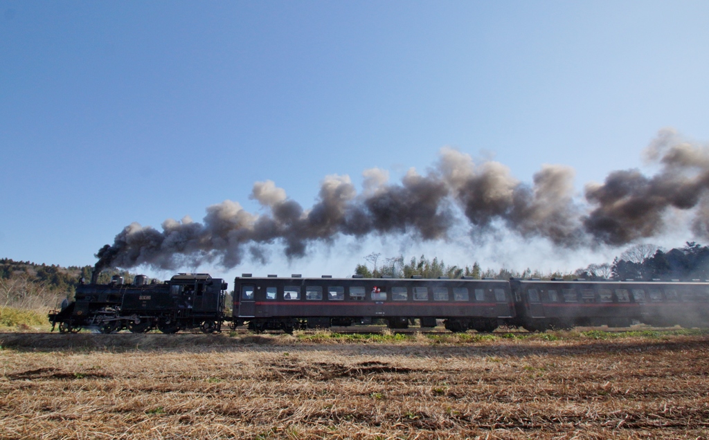 多田羅サイドビュー！