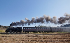 多田羅サイドビュー！