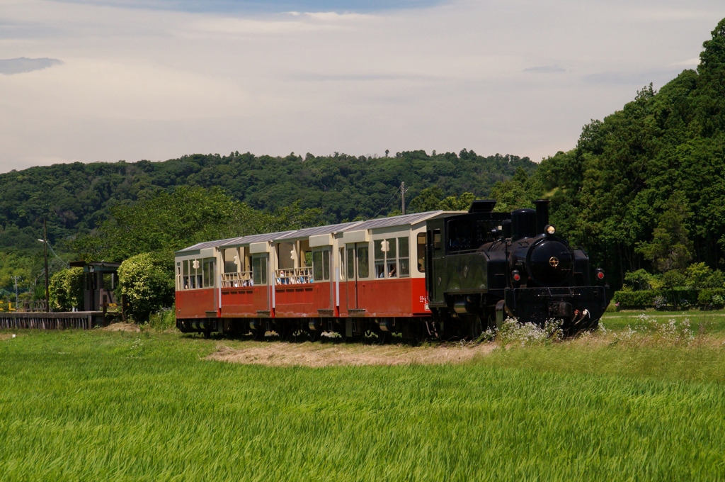 小湊鉄道のトロッコ列車！②