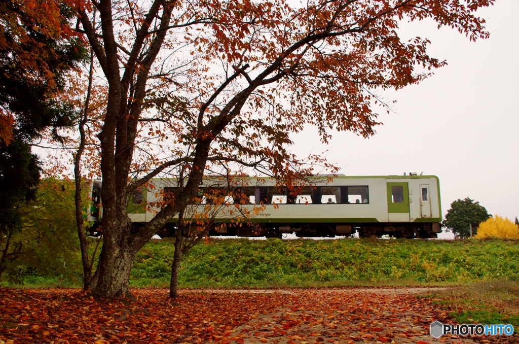 紅葉＆落葉に只見線！