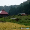 会津横田の田園風景！