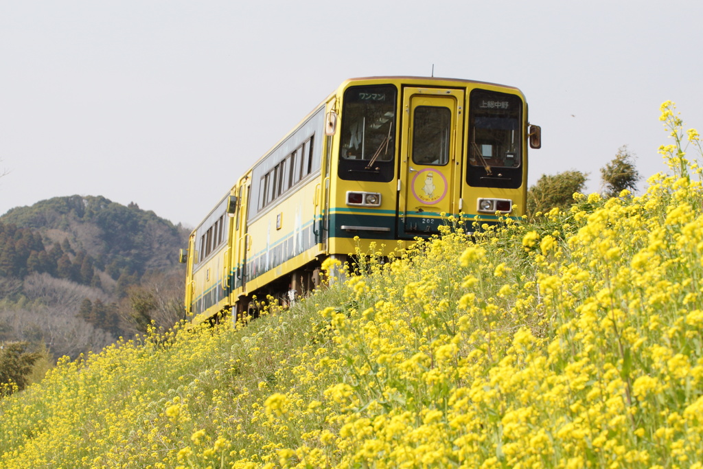 いすみ鉄道　キハ200！