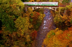 大谷川を見下ろす！