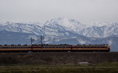 立山連峰＆485系電車！