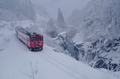 雪景色が見れました！