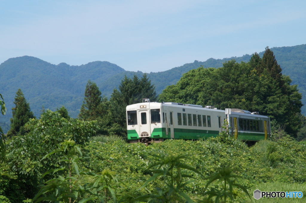 深緑の中を往く只見線！