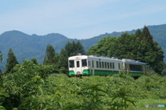 深緑の中を往く只見線！
