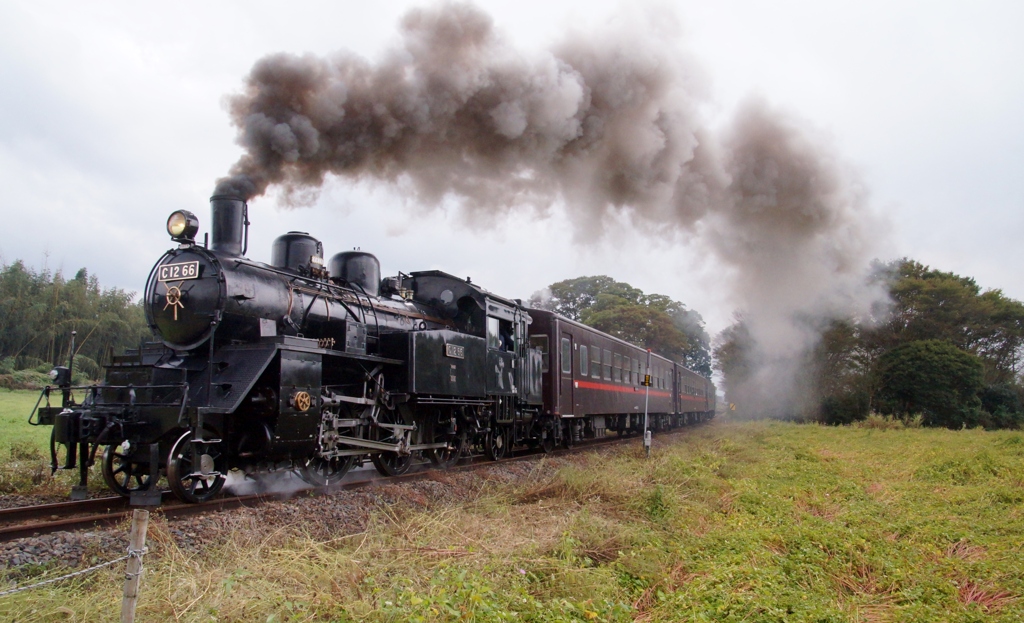 真岡鉄道　多田羅の顔！