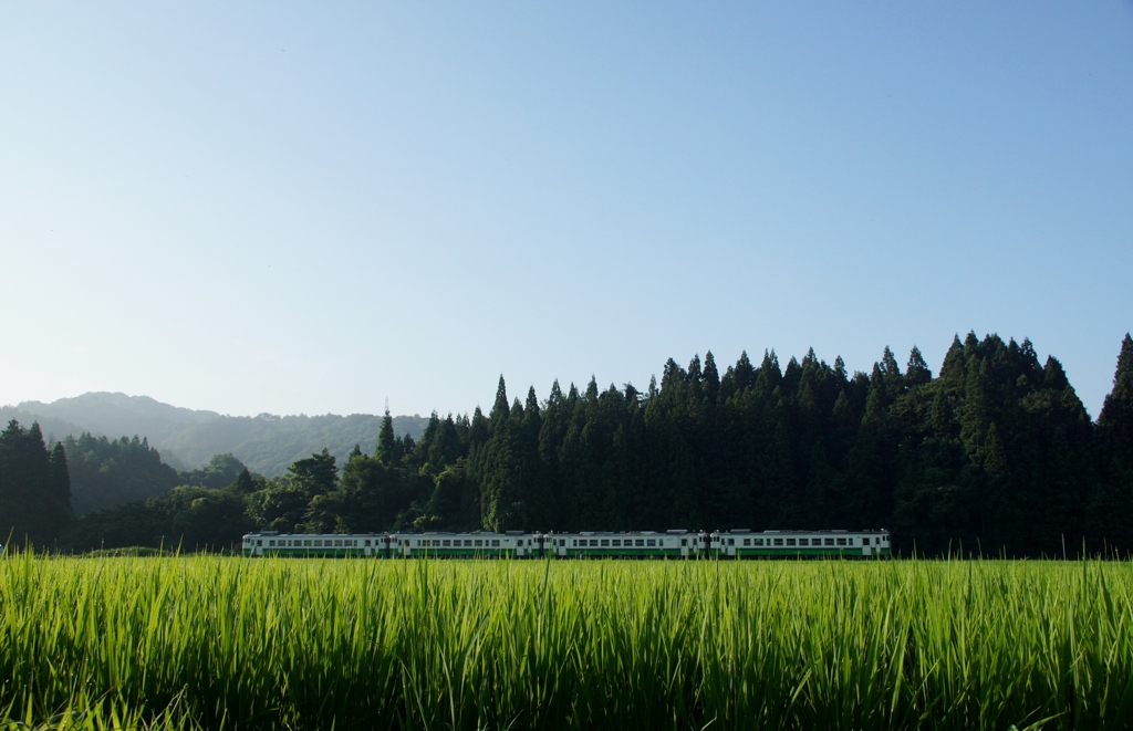 柳津の田園風景❣