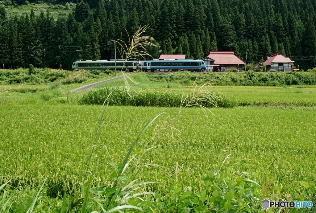 観光列車「さとの号」が只見線に入線！